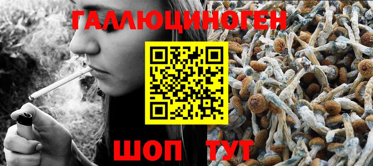 Псилоцибиновые грибы Psilocybine cubensis  Вход с VPN  где можно купить наркотик  Партизанск 